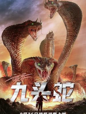 心灵共鸣